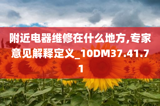 附近电器维修在什么地方,专家意见解释定义_10DM37.41.71