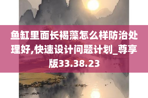 鱼缸里面长褐藻怎么样防治处理好,快速设计问题计划_尊享版33.38.23