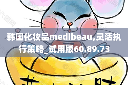 韩国化妆品medibeau,灵活执行策略_试用版60.89.73