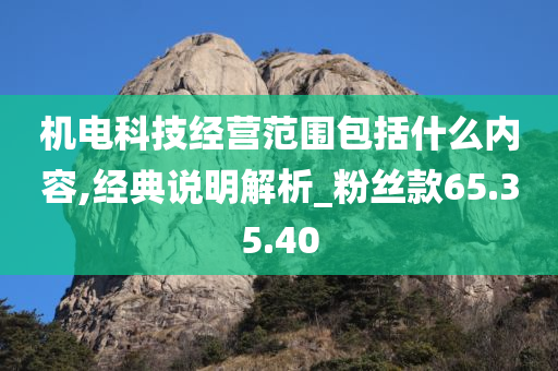 机电科技经营范围包括什么内容,经典说明解析_粉丝款65.35.40