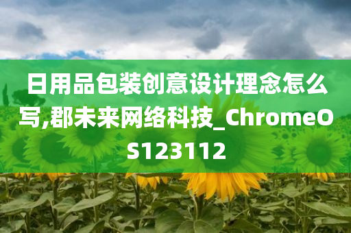 日用品包装创意设计理念怎么写,郡未来网络科技_ChromeOS123112