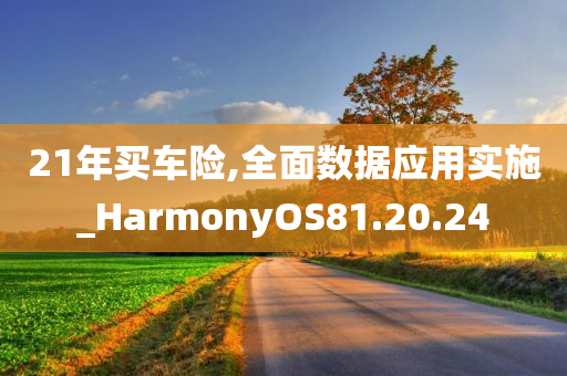 21年买车险,全面数据应用实施_HarmonyOS81.20.24