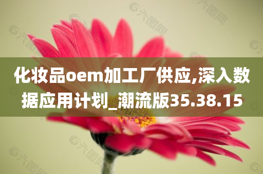 化妆品oem加工厂供应,深入数据应用计划_潮流版35.38.15