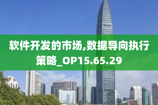 软件开发的市场,数据导向执行策略_OP15.65.29