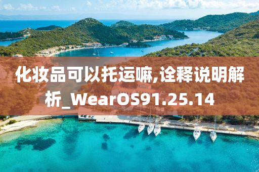 化妆品可以托运嘛,诠释说明解析_WearOS91.25.14