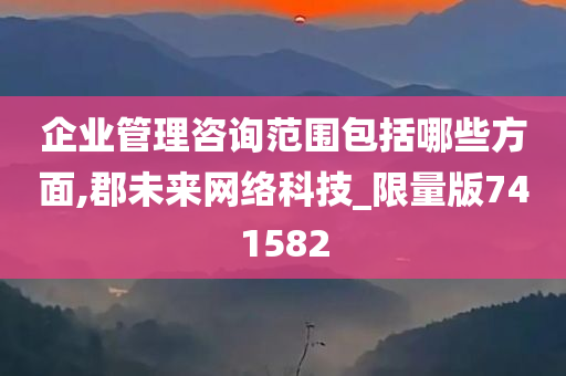 企业管理咨询范围包括哪些方面,郡未来网络科技_限量版741582