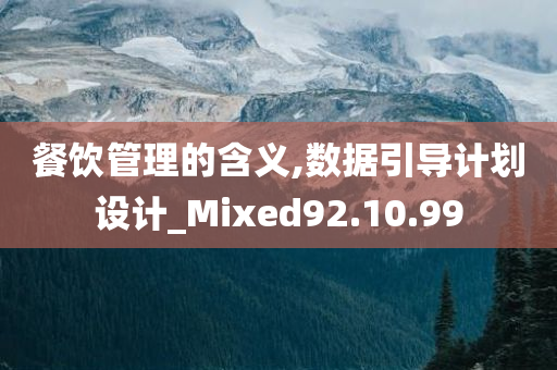 餐饮管理的含义,数据引导计划设计_Mixed92.10.99