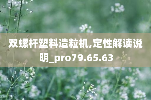 双螺杆塑料造粒机,定性解读说明_pro79.65.63