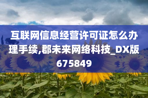 互联网信息经营许可证怎么办理手续,郡未来网络科技_DX版675849