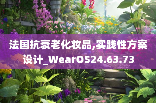 法国抗衰老化妆品,实践性方案设计_WearOS24.63.73