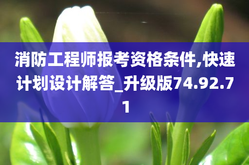 消防工程师报考资格条件,快速计划设计解答_升级版74.92.71