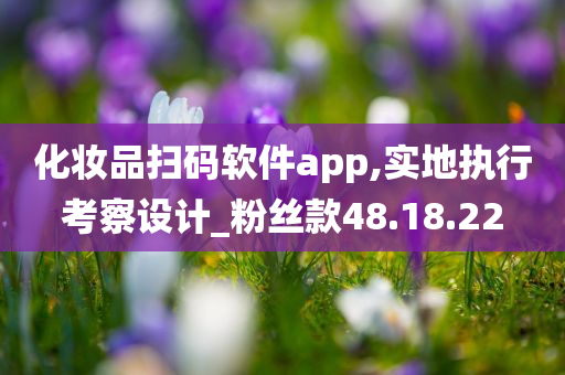 化妆品扫码软件app,实地执行考察设计_粉丝款48.18.22