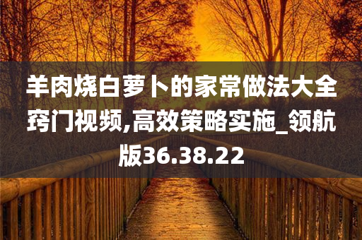 羊肉烧白萝卜的家常做法大全窍门视频,高效策略实施_领航版36.38.22