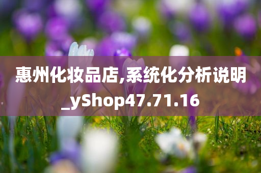 惠州化妆品店,系统化分析说明_yShop47.71.16