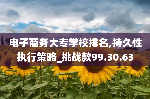 电子商务大专学校排名,持久性执行策略_挑战款99.30.63