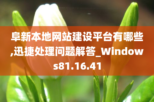 阜新本地网站建设平台有哪些,迅捷处理问题解答_Windows81.16.41