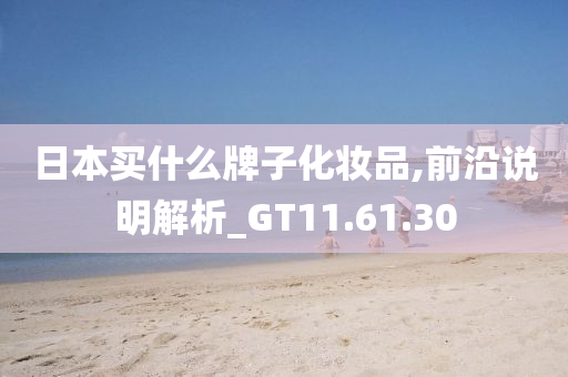 日本买什么牌子化妆品,前沿说明解析_GT11.61.30