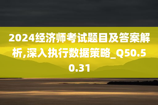 2024经济师考试题目及答案解析,深入执行数据策略_Q50.50.31