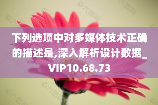 下列选项中对多媒体技术正确的描述是,深入解析设计数据_VIP10.68.73