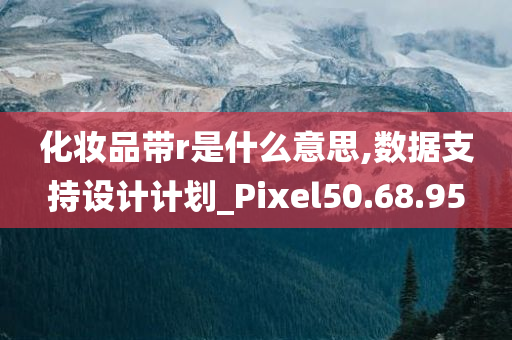 化妆品带r是什么意思,数据支持设计计划_Pixel50.68.95