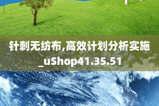 针刺无纺布,高效计划分析实施_uShop41.35.51