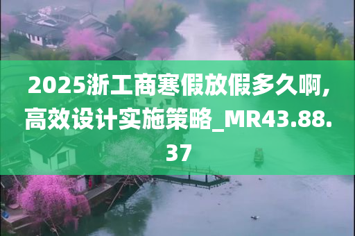 2025浙工商寒假放假多久啊,高效设计实施策略_MR43.88.37