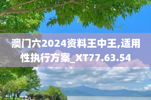 澳门六2024资料王中王,适用性执行方案_XT77.63.54