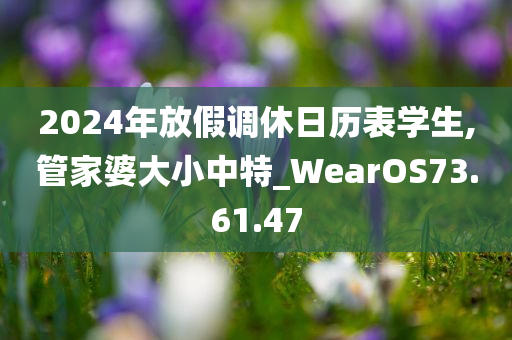 2024年放假调休日历表学生,管家婆大小中特_WearOS73.61.47