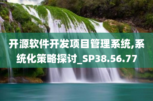 开源软件开发项目管理系统,系统化策略探讨_SP38.56.77