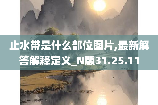 止水带是什么部位图片,最新解答解释定义_N版31.25.11