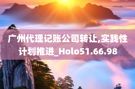 广州代理记账公司转让,实践性计划推进_Holo51.66.98