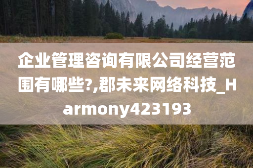 企业管理咨询有限公司经营范围有哪些?,郡未来网络科技_Harmony423193