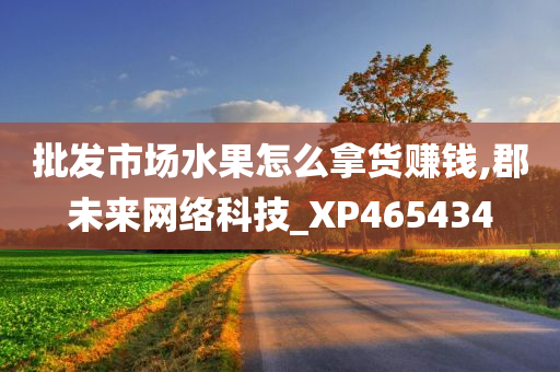 批发市场水果怎么拿货赚钱,郡未来网络科技_XP465434