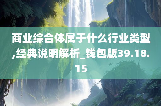 商业综合体属于什么行业类型,经典说明解析_钱包版39.18.15