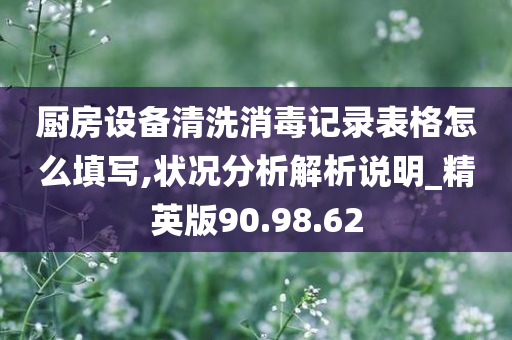 厨房设备清洗消毒记录表格怎么填写,状况分析解析说明_精英版90.98.62