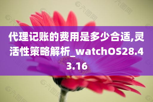 代理记账的费用是多少合适,灵活性策略解析_watchOS28.43.16