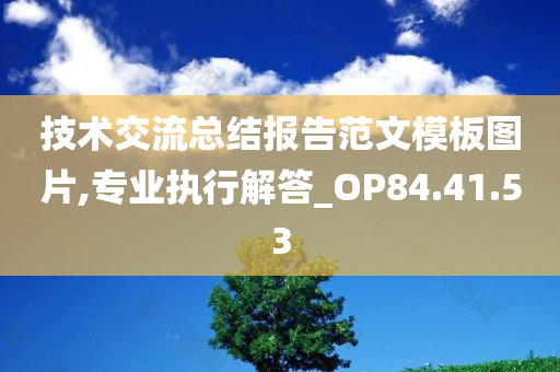 技术交流总结报告范文模板图片,专业执行解答_OP84.41.53