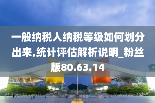 一般纳税人纳税等级如何划分出来,统计评估解析说明_粉丝版80.63.14