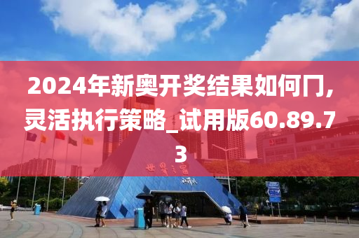 2024年新奥开奖结果如何冂,灵活执行策略_试用版60.89.73