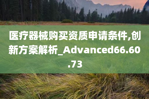 医疗器械购买资质申请条件,创新方案解析_Advanced66.60.73