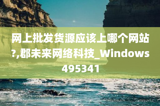 网上批发货源应该上哪个网站?,郡未来网络科技_Windows495341