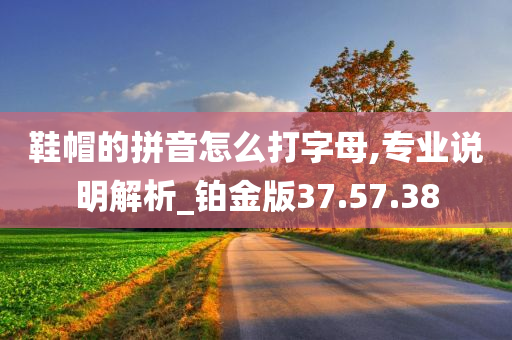 鞋帽的拼音怎么打字母,专业说明解析_铂金版37.57.38