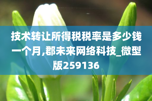 技术转让所得税税率是多少钱一个月,郡未来网络科技_微型版259136