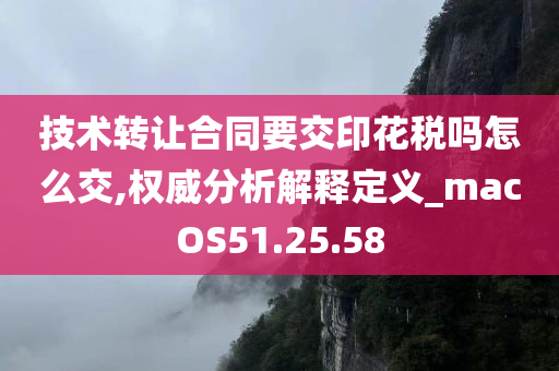 技术转让合同要交印花税吗怎么交,权威分析解释定义_macOS51.25.58