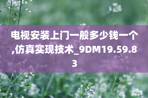 电视安装上门一般多少钱一个,仿真实现技术_9DM19.59.83