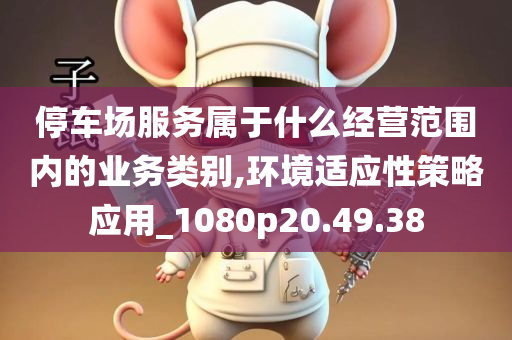 停车场服务属于什么经营范围内的业务类别,环境适应性策略应用_1080p20.49.38