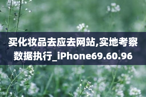 买化妆品去应去网站,实地考察数据执行_iPhone69.60.96