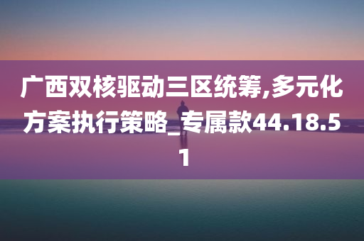 广西双核驱动三区统筹,多元化方案执行策略_专属款44.18.51