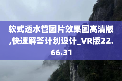 软式透水管图片效果图高清版,快速解答计划设计_VR版22.66.31