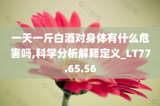 一天一斤白酒对身体有什么危害吗,科学分析解释定义_LT77.65.56